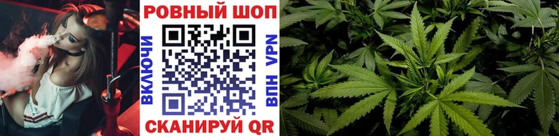 Альфа ПВП Ахтырский