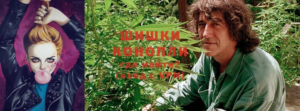 трава Зеленокумск